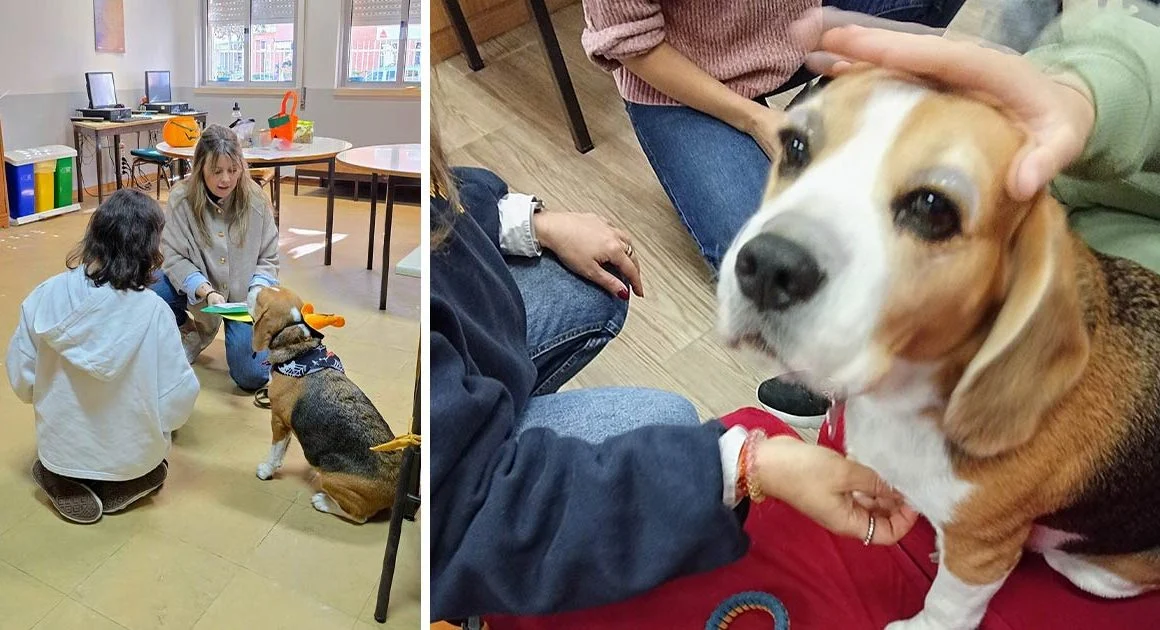 Cães Terapeutas Esposende