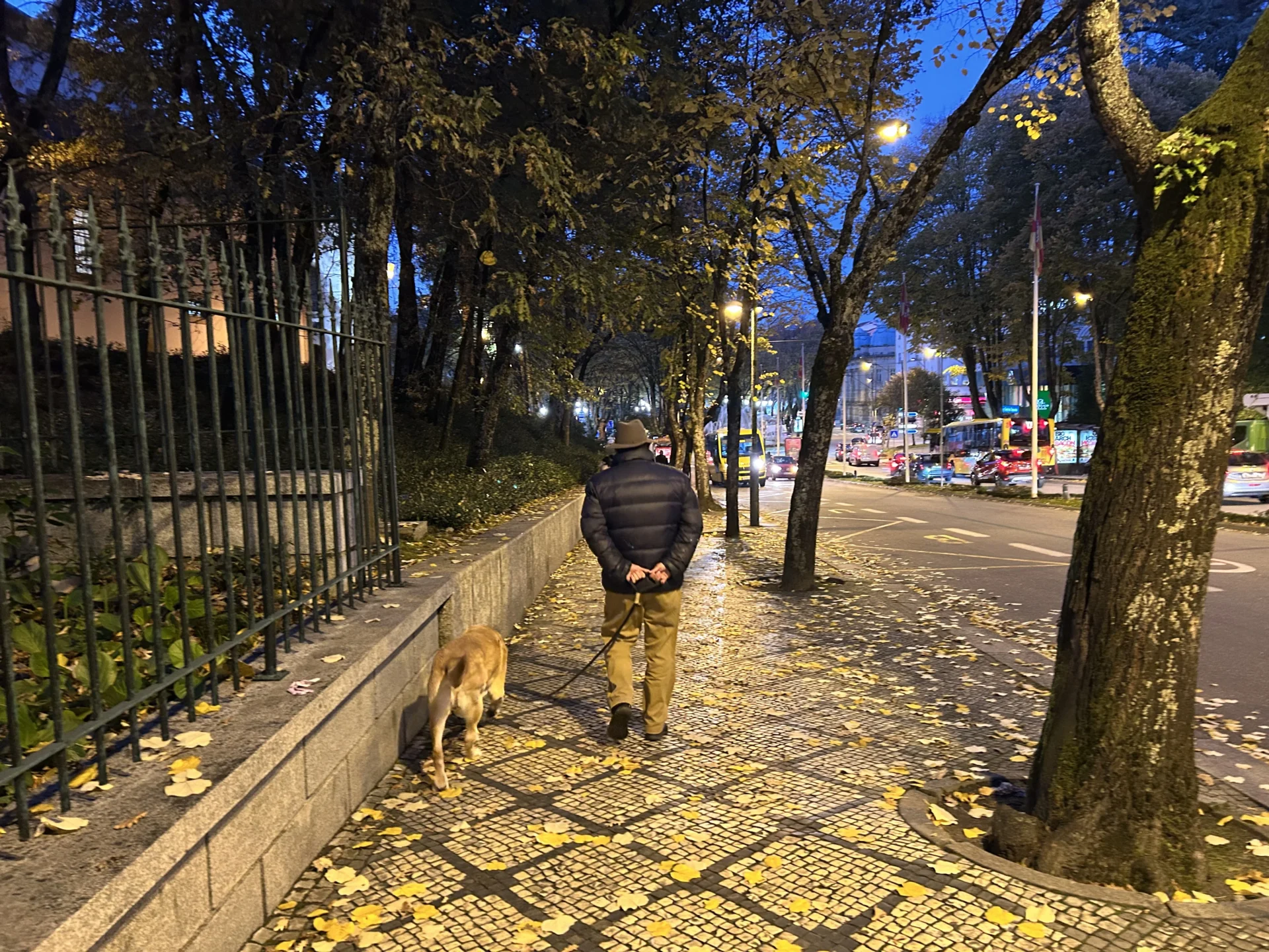 Frio Viseu