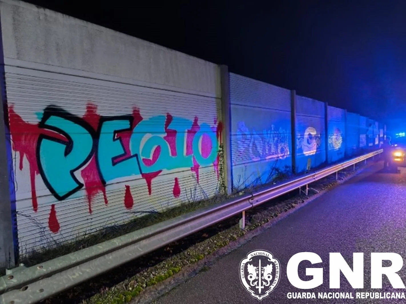 Gnr Viseu Apreensão1