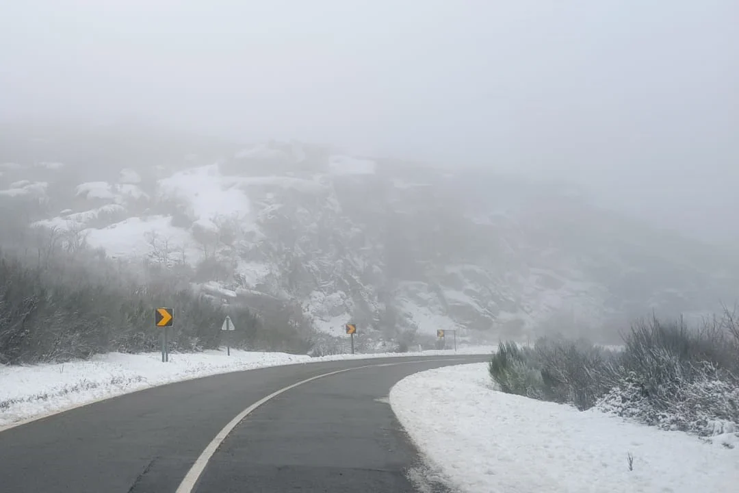 Neve CinfÃes Castro Daire En321