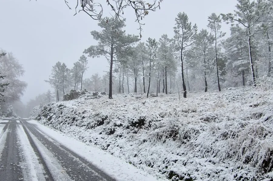 Neve