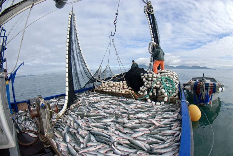 Pescas