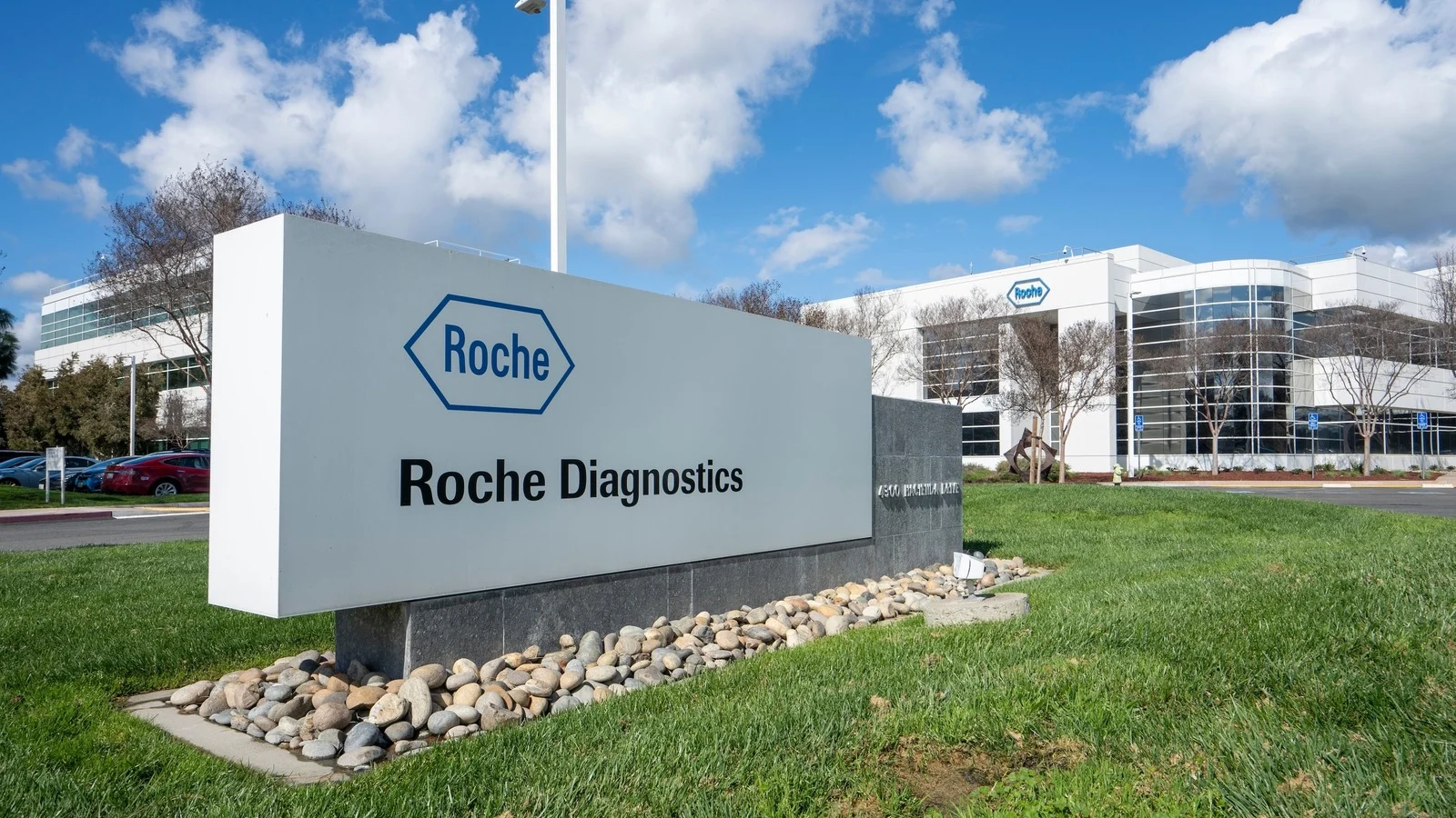 Roche