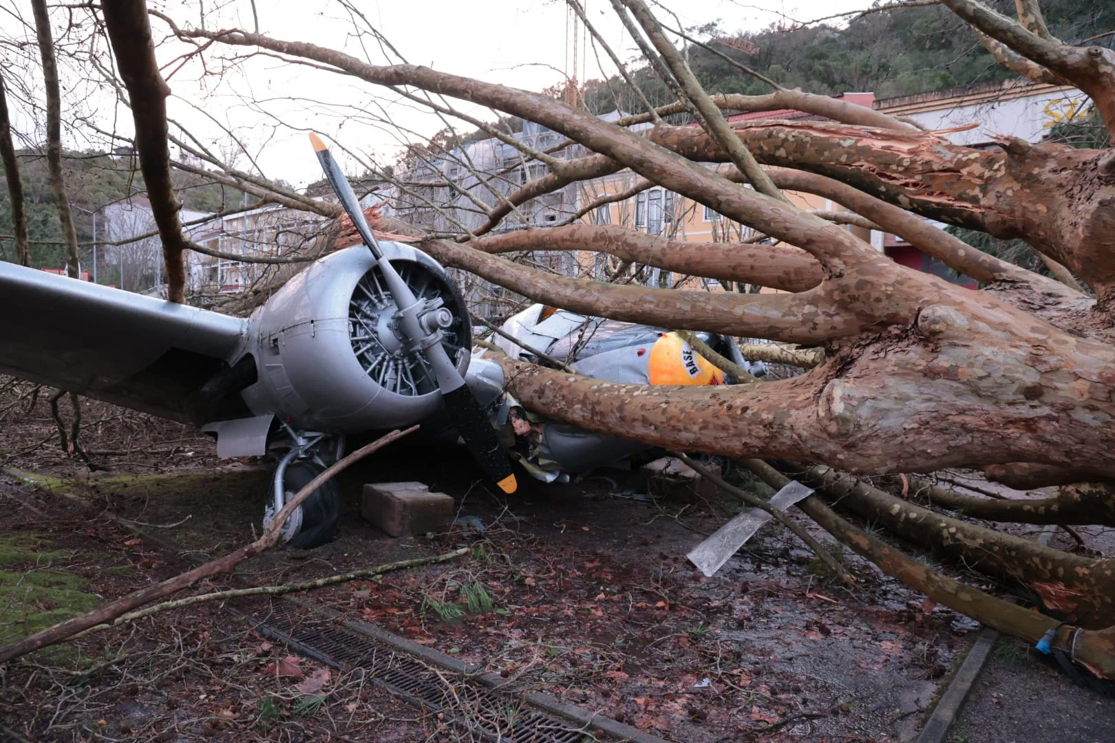 Aviao Destruido Leiria