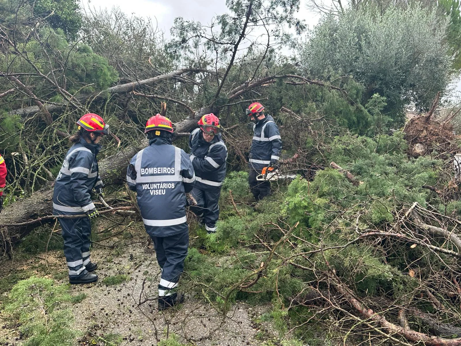 Bombeiros De Viseu Em Coimbra