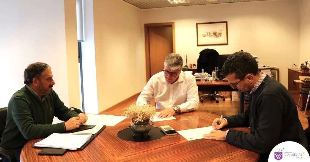 Carregal Do Sal Consignação