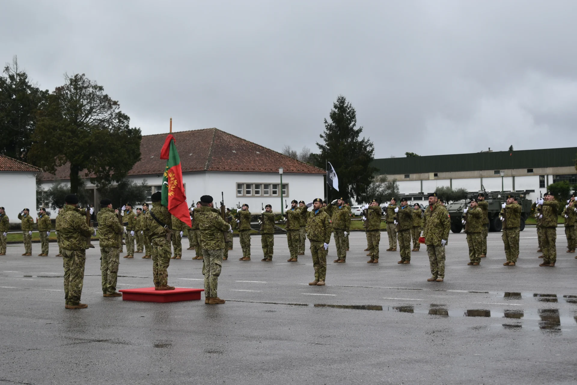 Estandarte Nacional A Forca Romenia