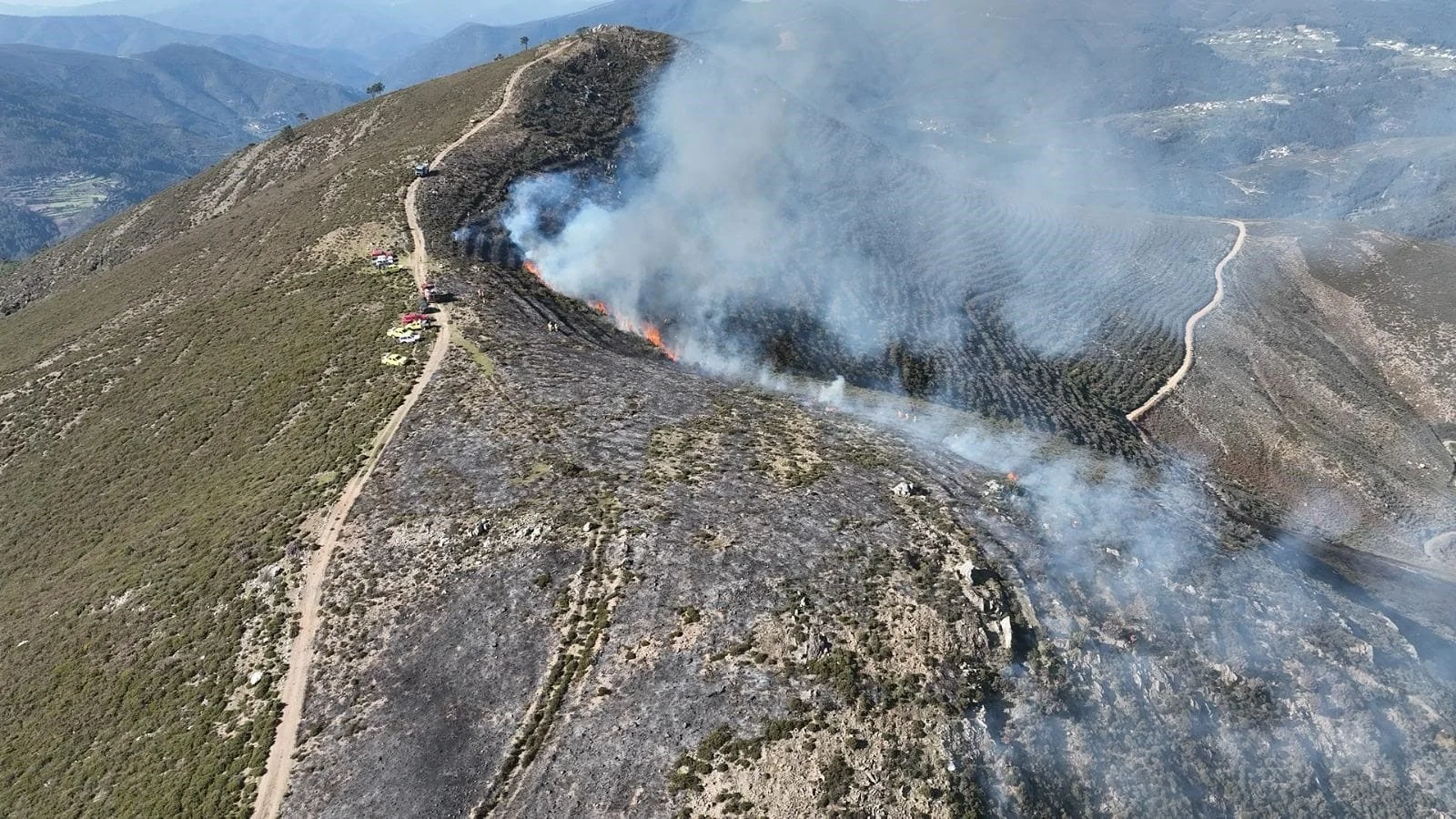Fogo Controlado Cim Viseu