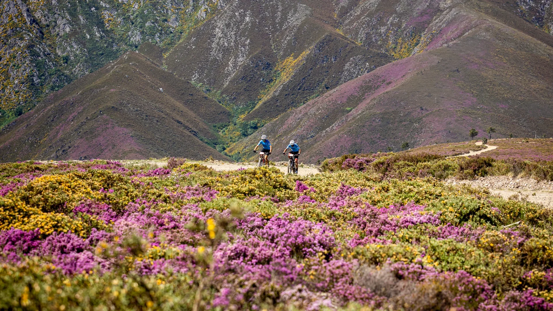 Gr60 Grande Rota Btt