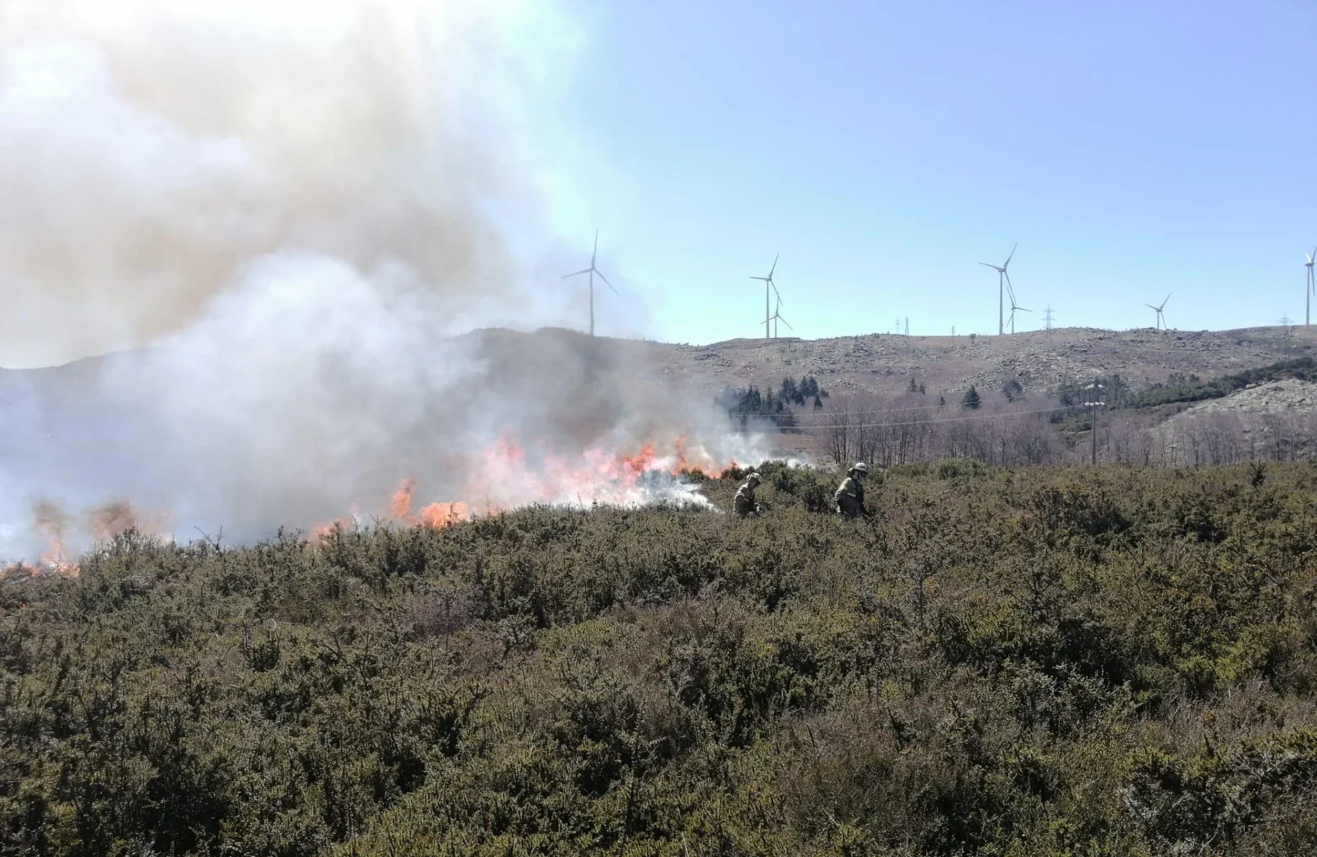 Incêndios Fogo Controlado