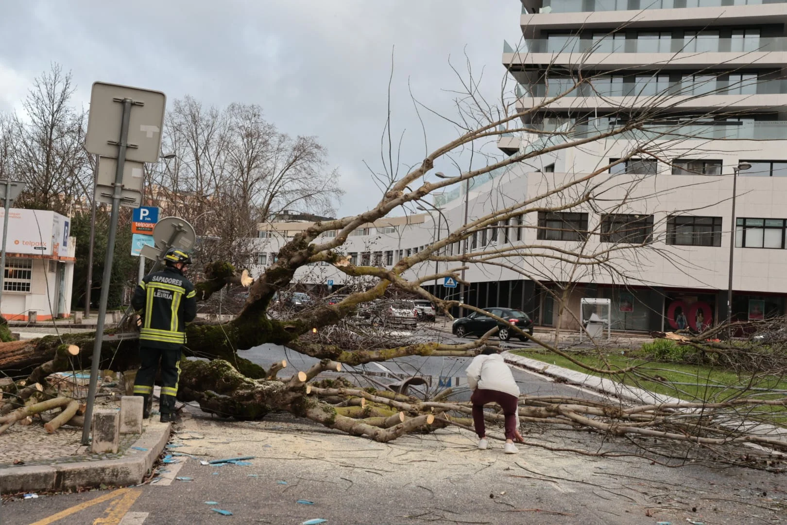 Leiria Destruida Pelo Mau Tempo 28