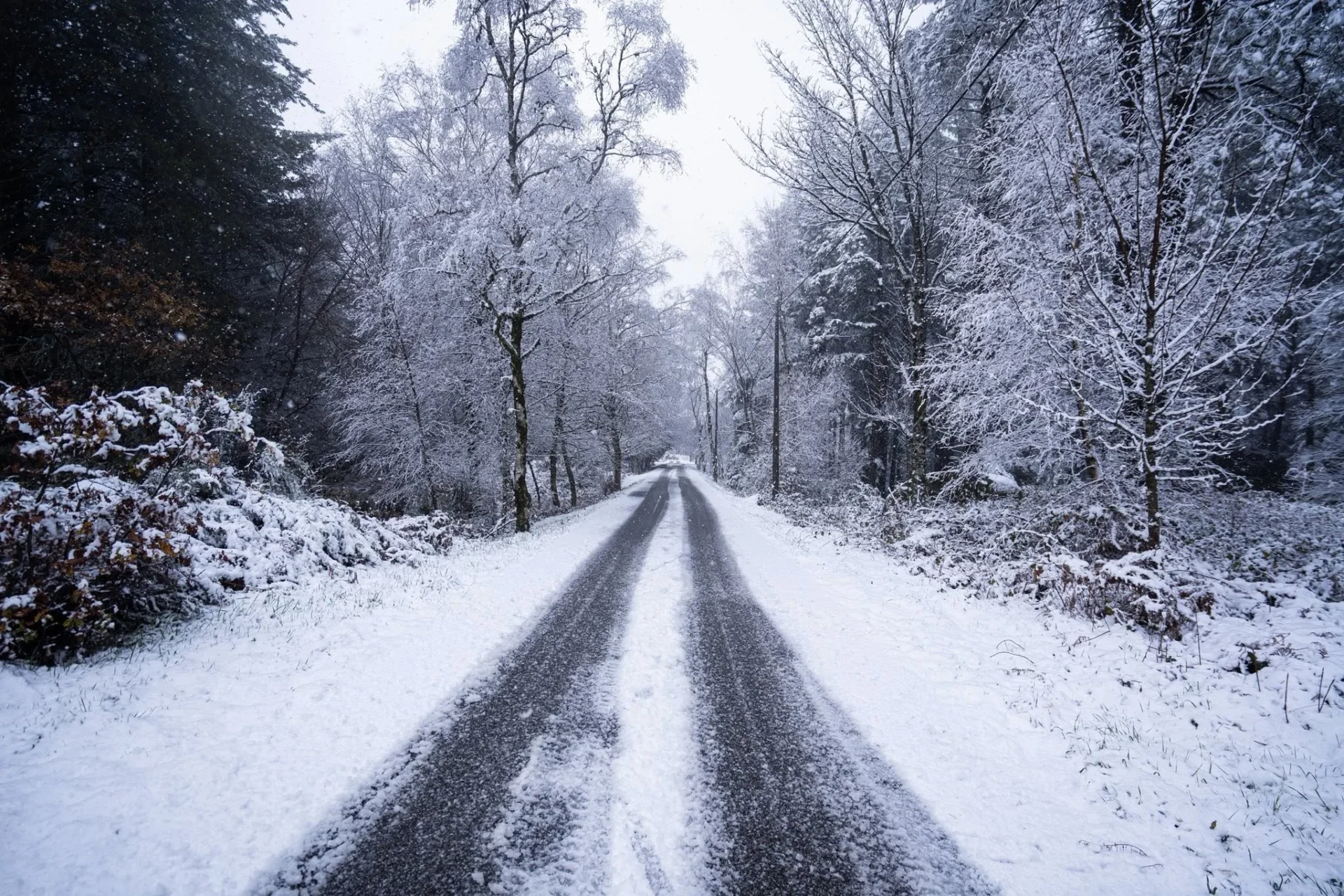 Neve Caramulo