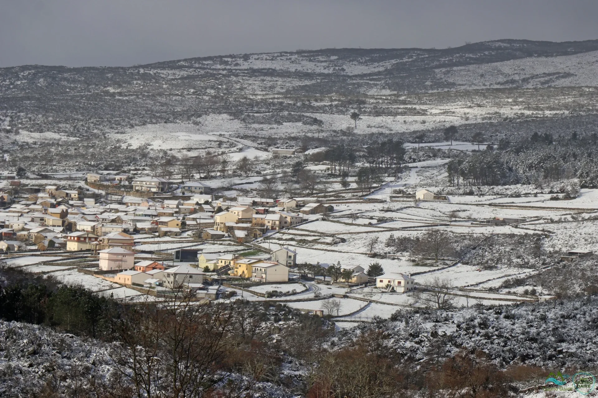 Neve Castro Daire