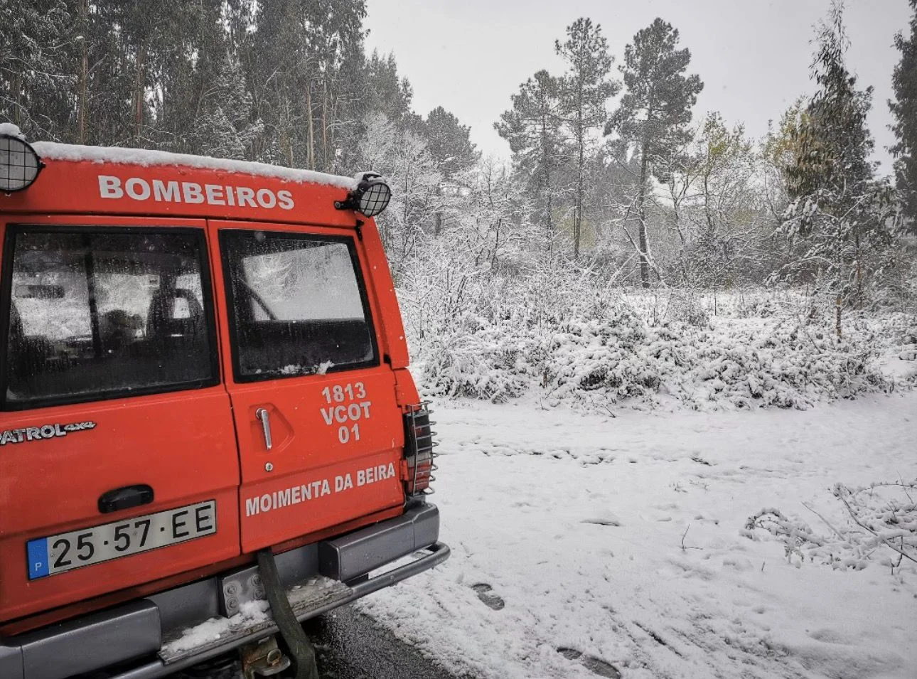 Neve Moimenta Da Beira
