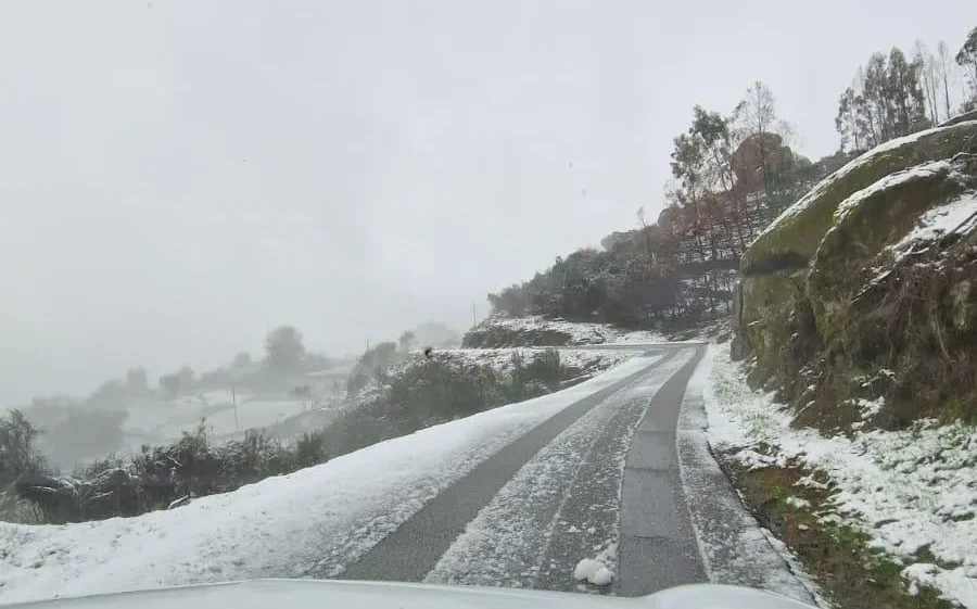 Neve Região