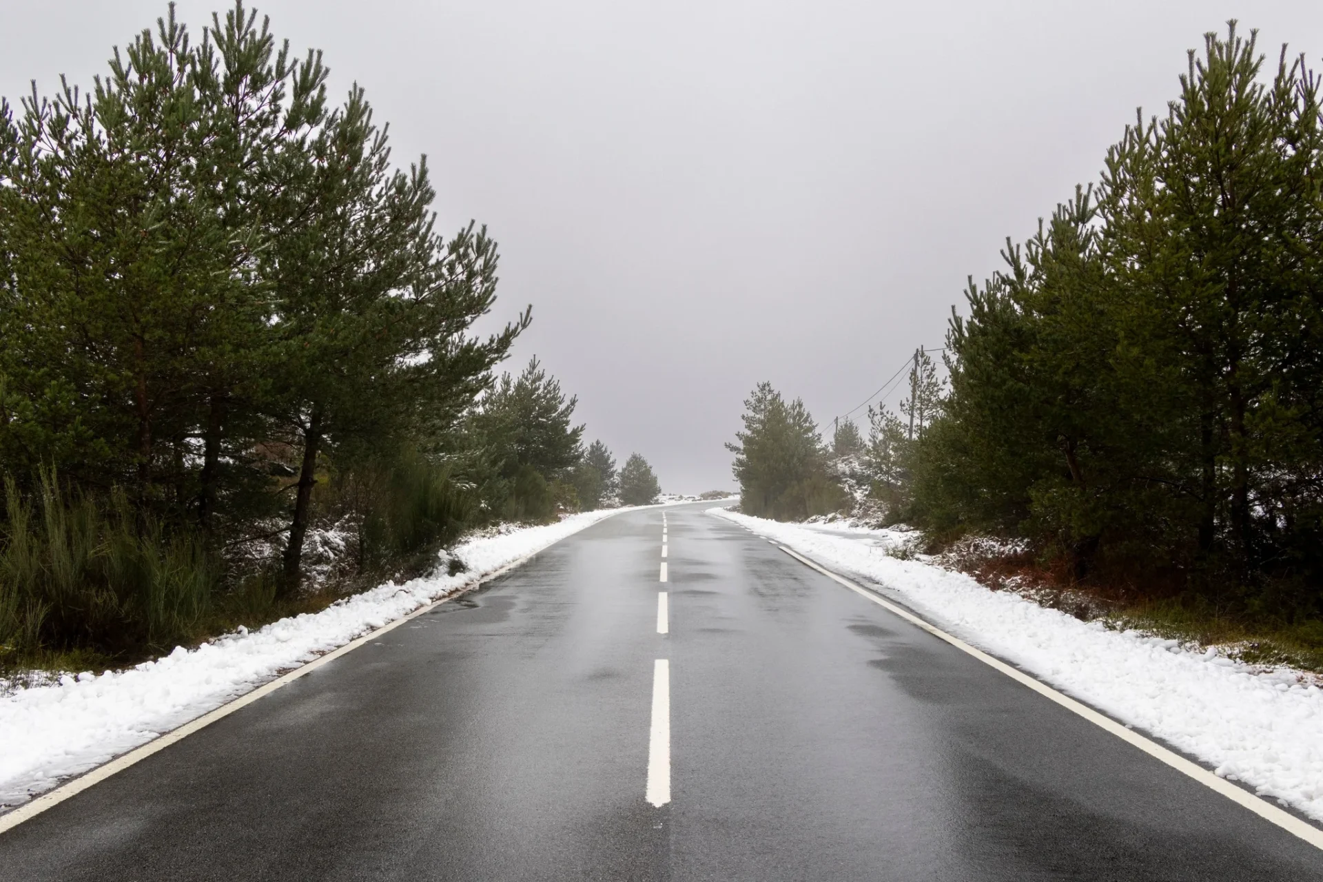 Neve Vila Real