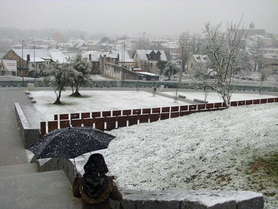Neve Viseu 2008