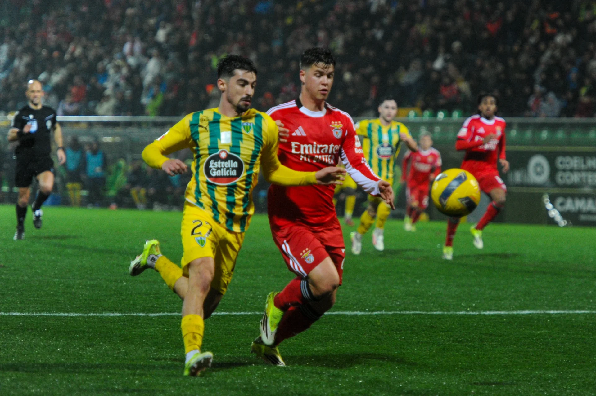 tondela benf jogo