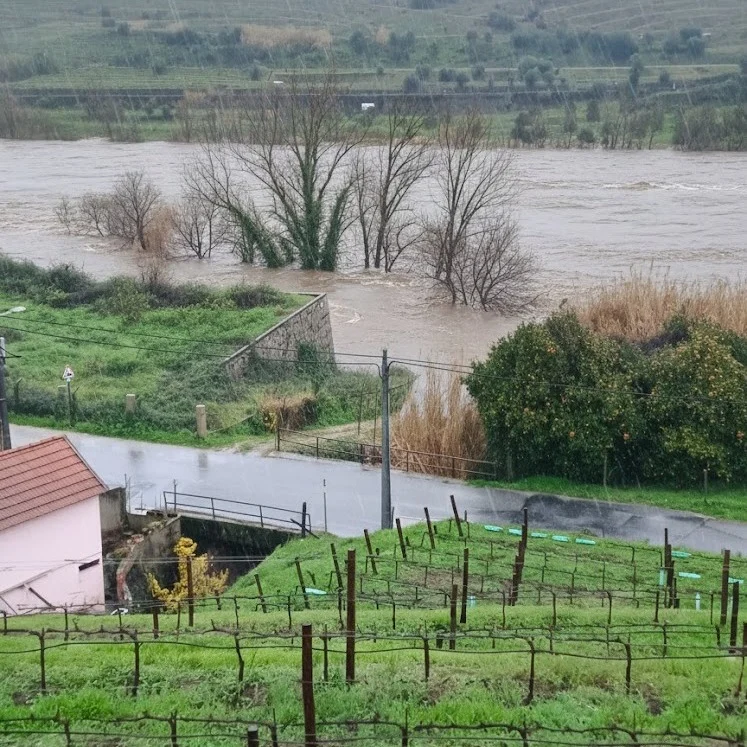 Cheias Lamego
