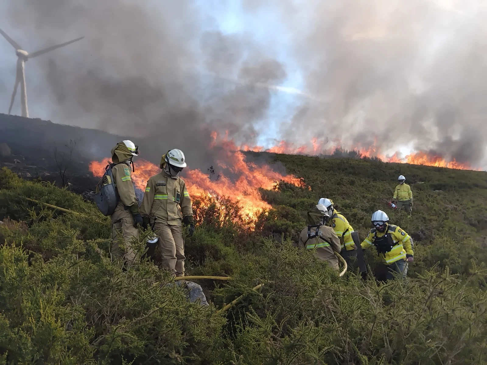 Fogo Controlado São Pedro Do Sul