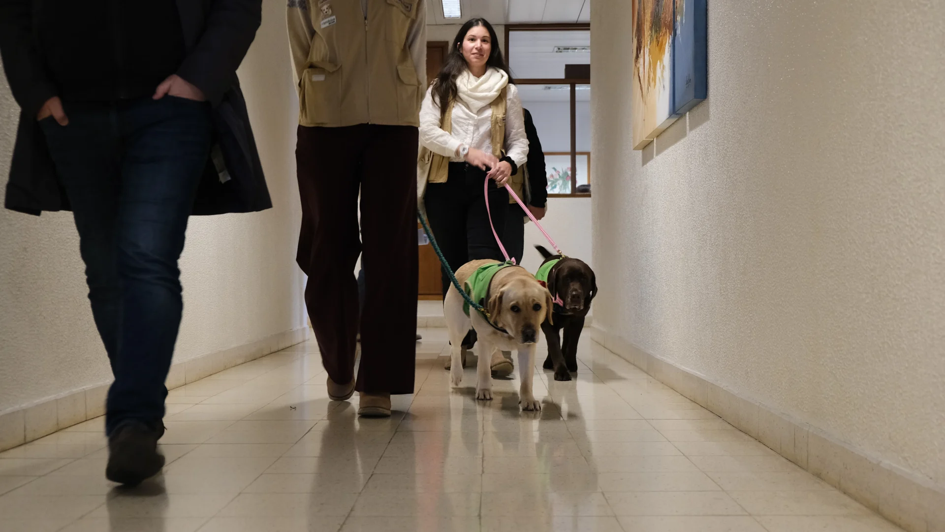 Ipo Coimbra Animais Terapia