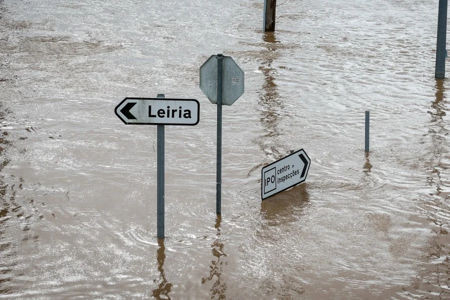 Ocorrencias Imagem Placa Leiria