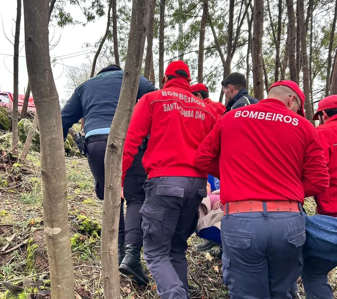 Santa Comba Dão Buscas