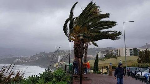 Vento Forte Madeira