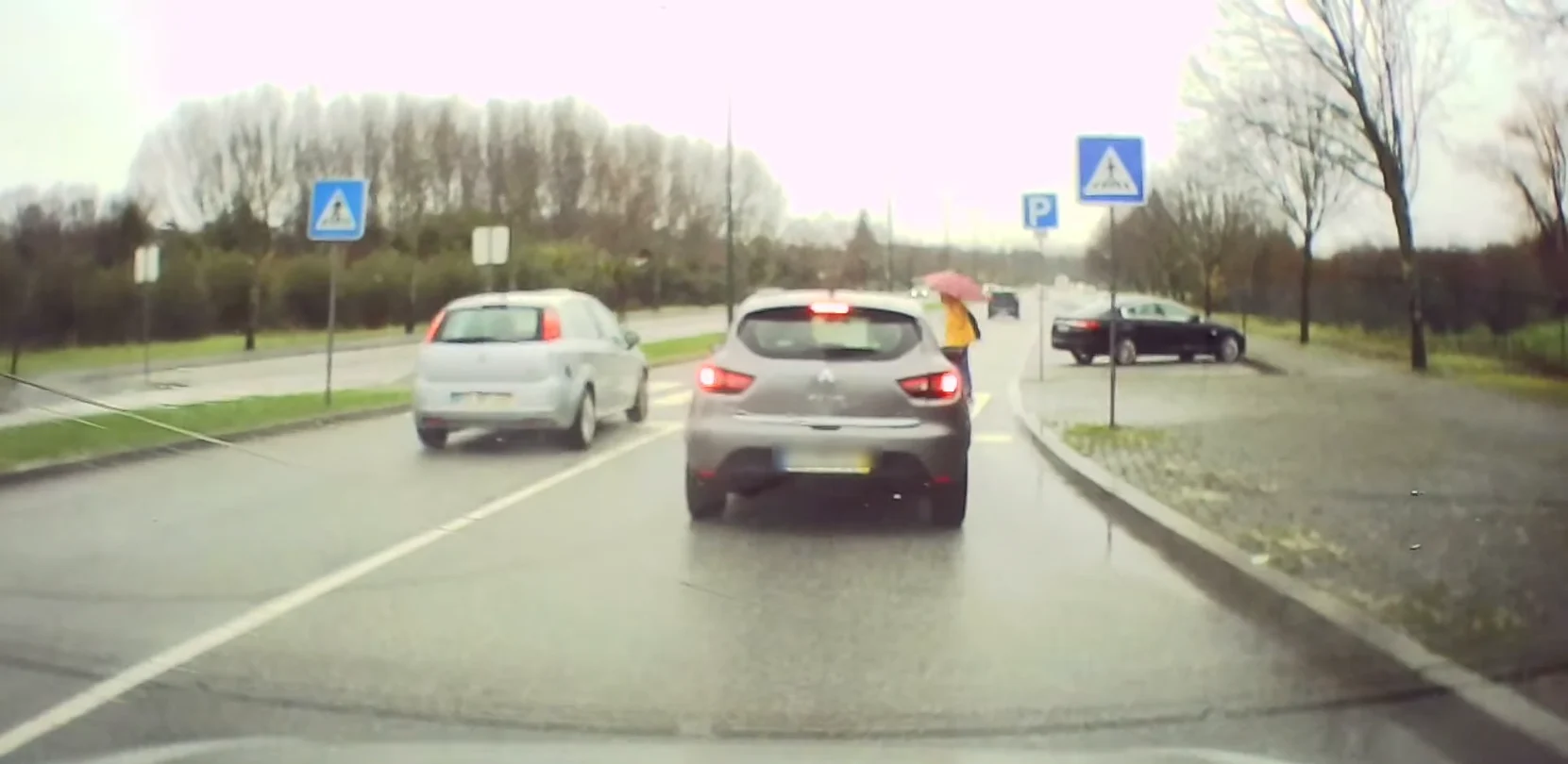 Vid Atropelamento Viseu
