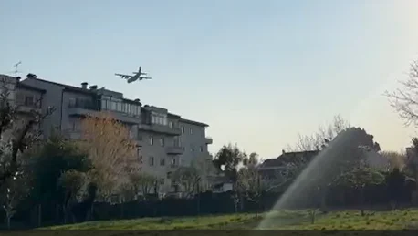 Avião Força Aerea Viseu
