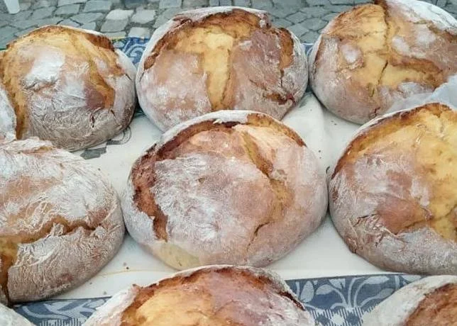 Broinhas Santa Columba