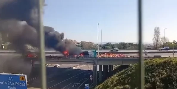 Incendio A1 Gaia