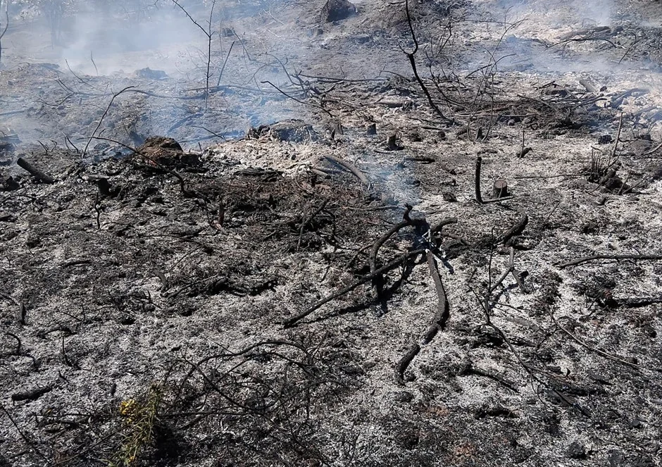 Incendio Tarouca Gnr