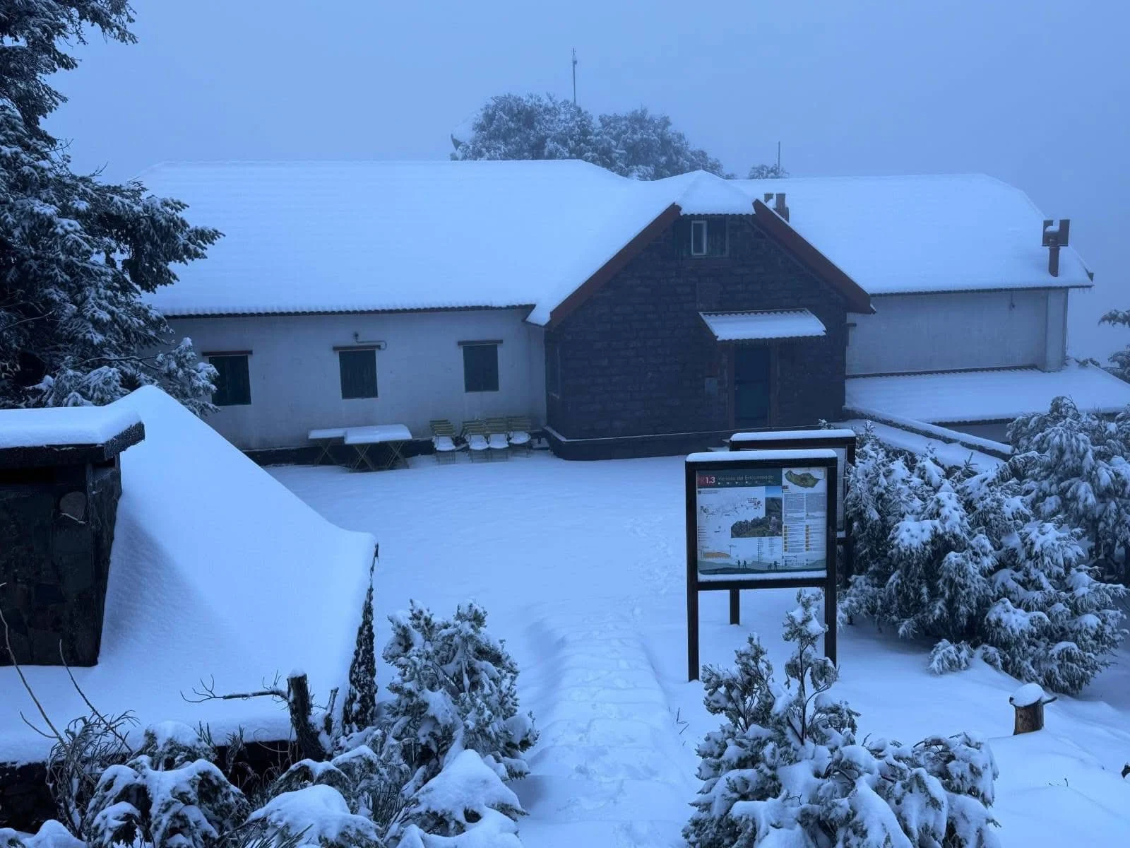 Neve Madeira 1