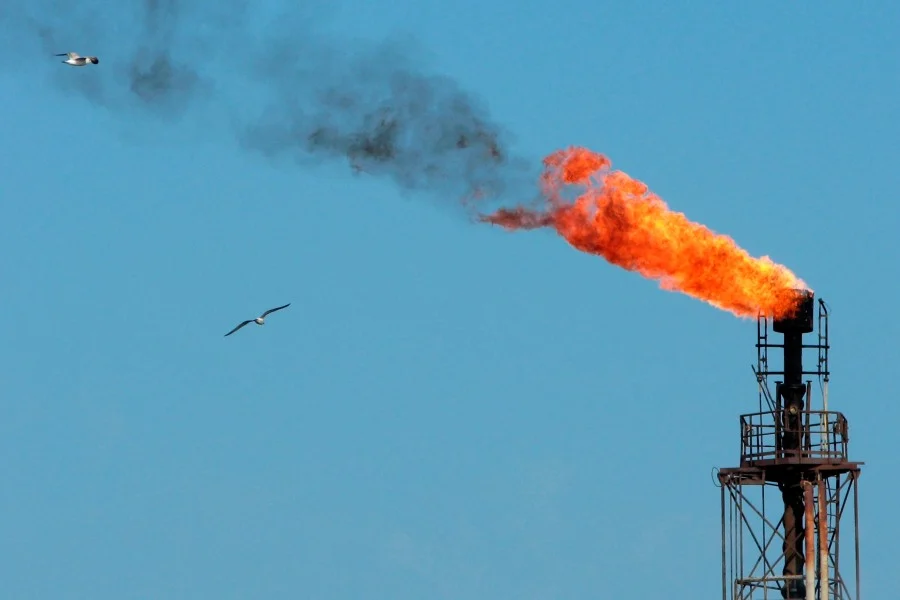 Petróleo Wti