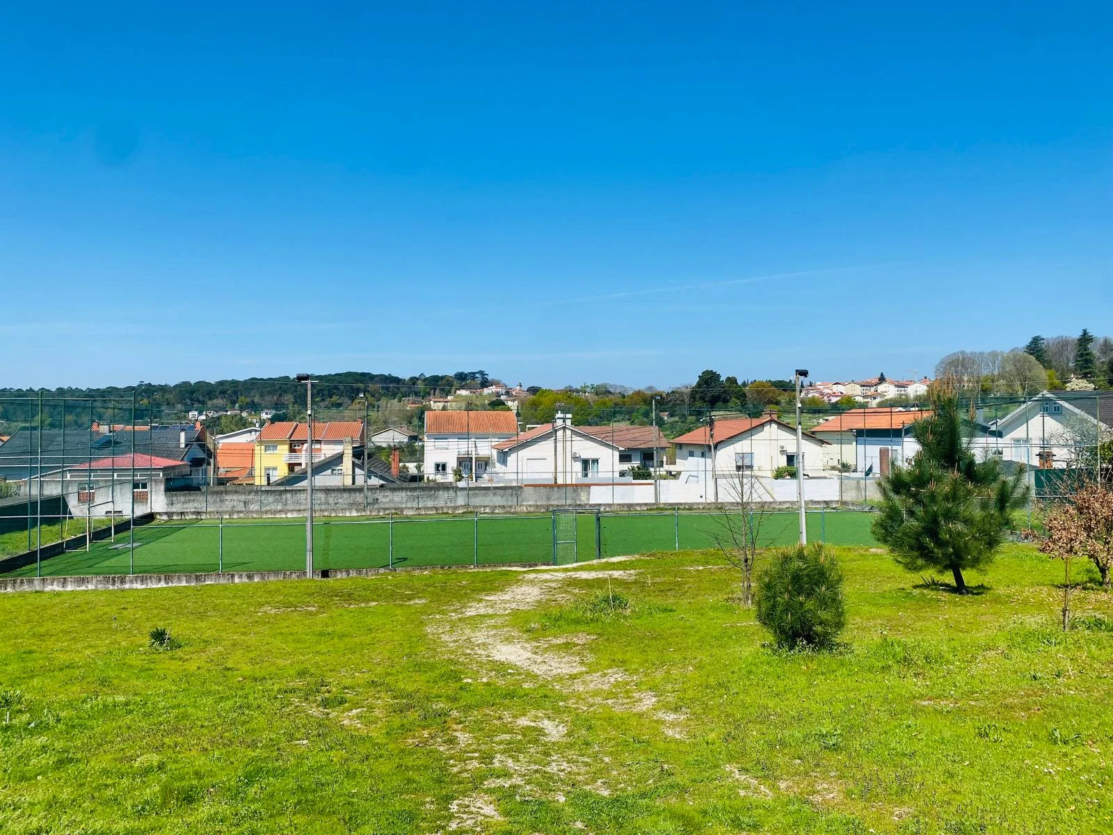 Poli 2