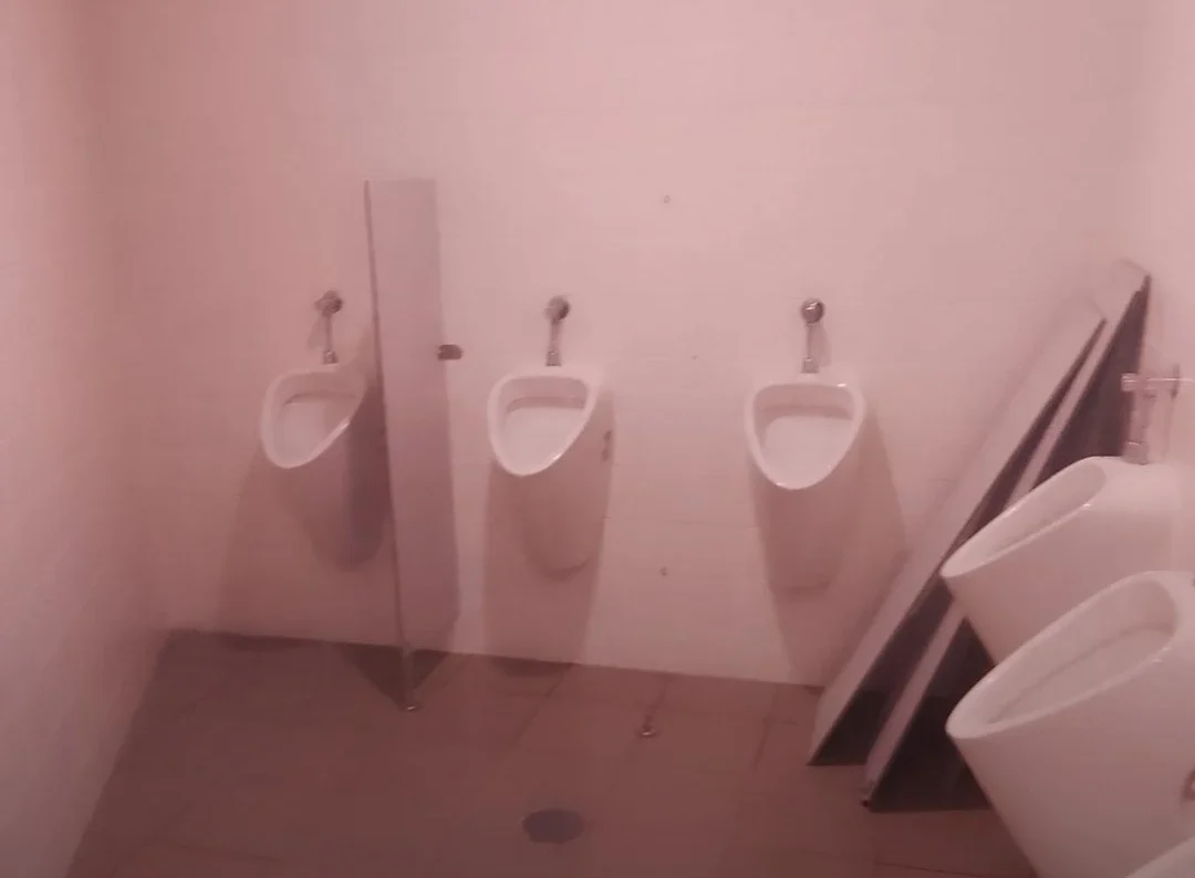 Sanitários Vandalizados Lamego