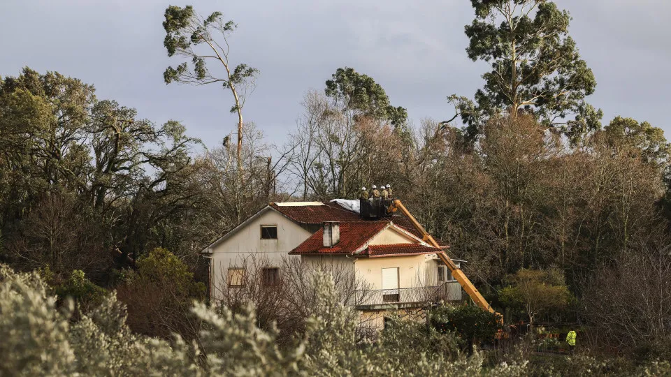 Apoios Para Habitação Kristin