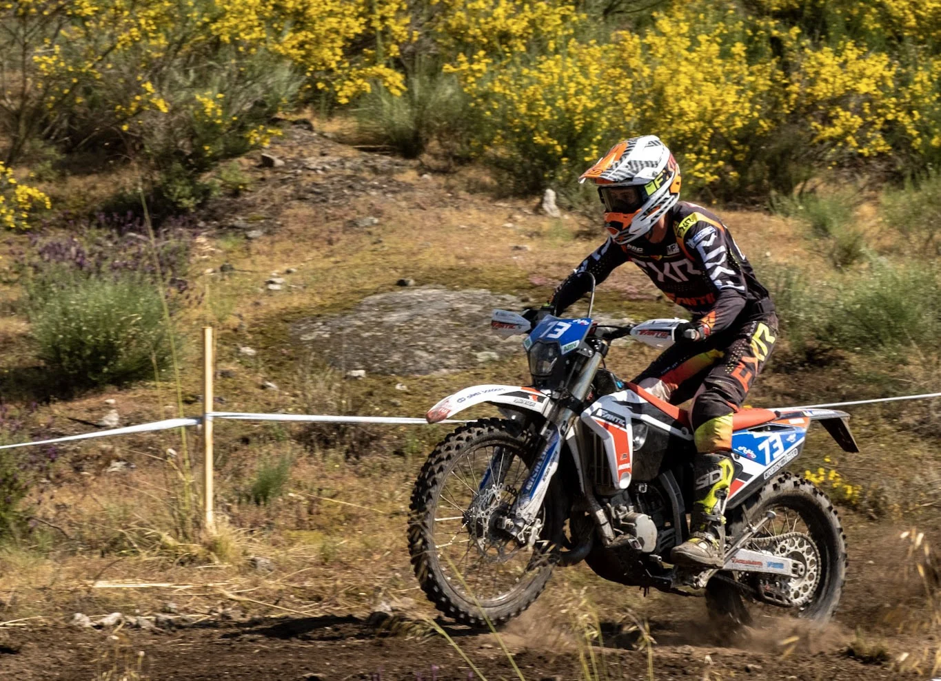 Armamar Enduro
