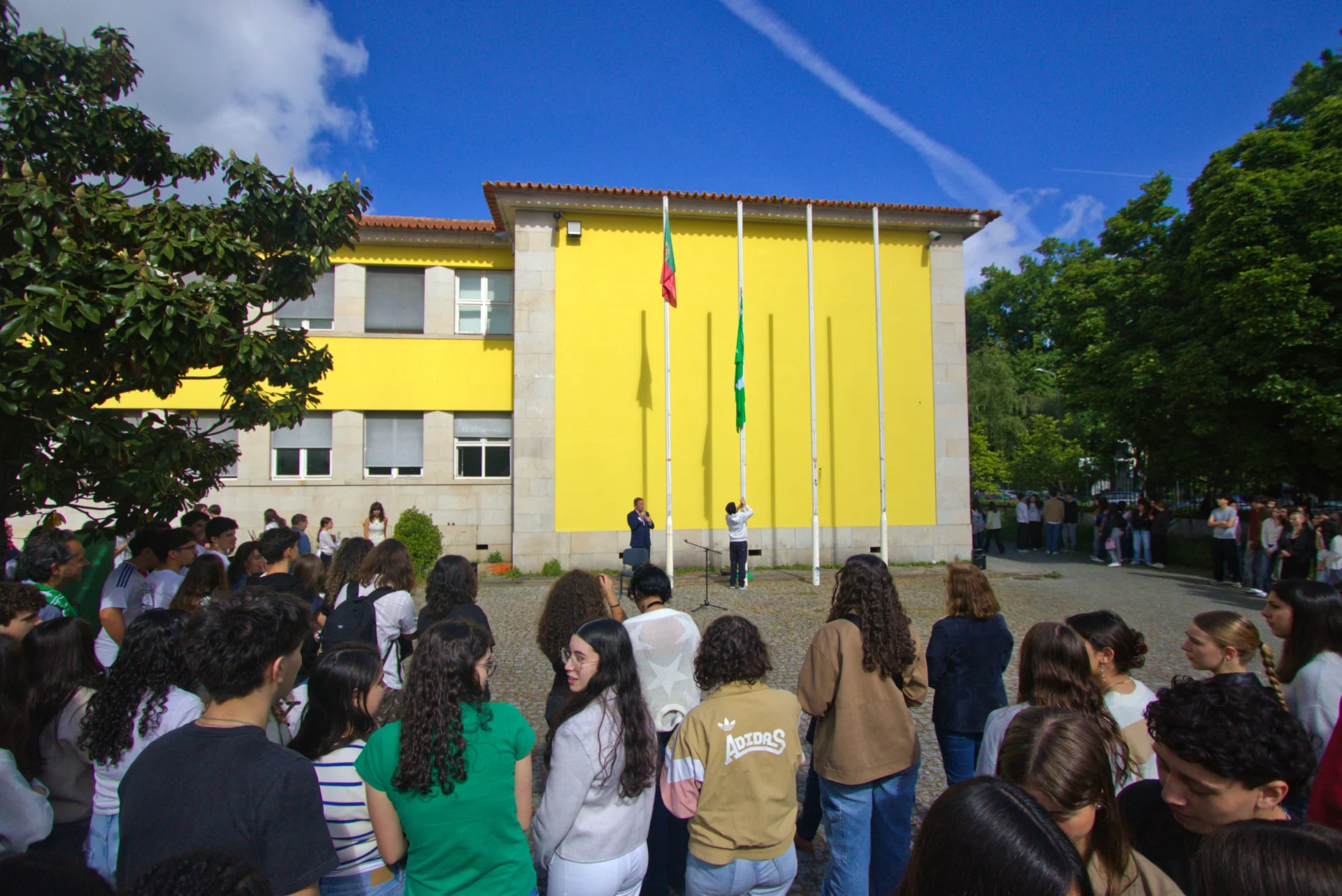 Bandeira Eco Escolas Alves Martins
