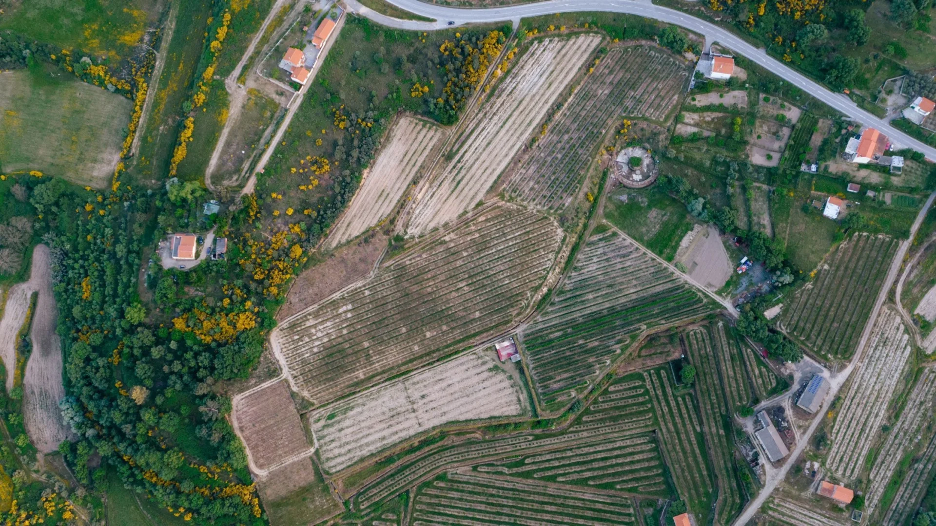 Bupi Terrenos Propriedades