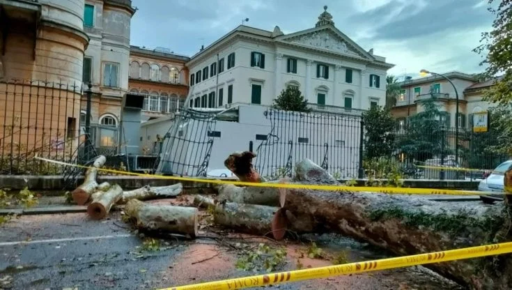 Mau Tempo Ita