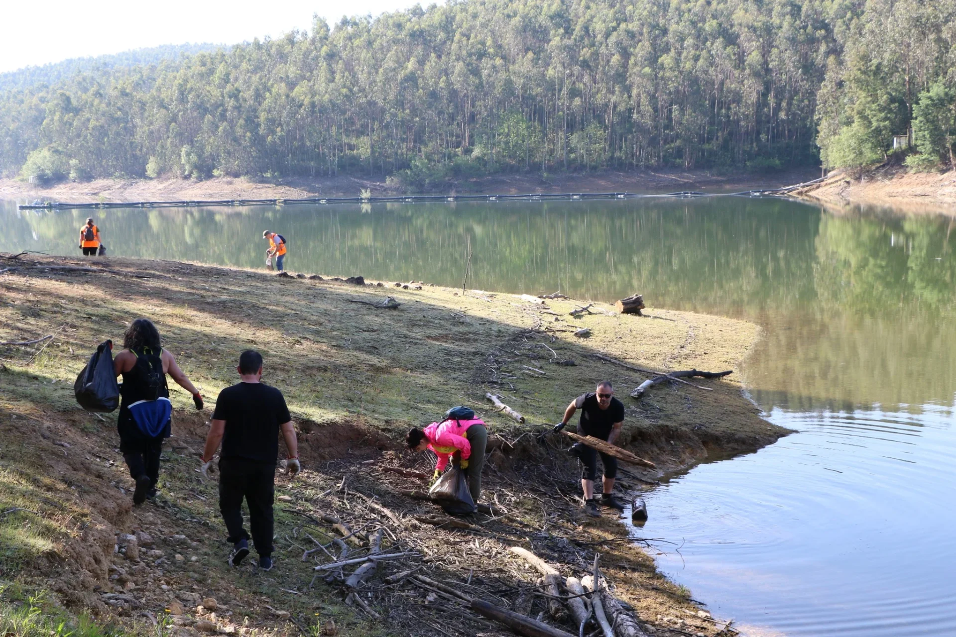 Mortágua