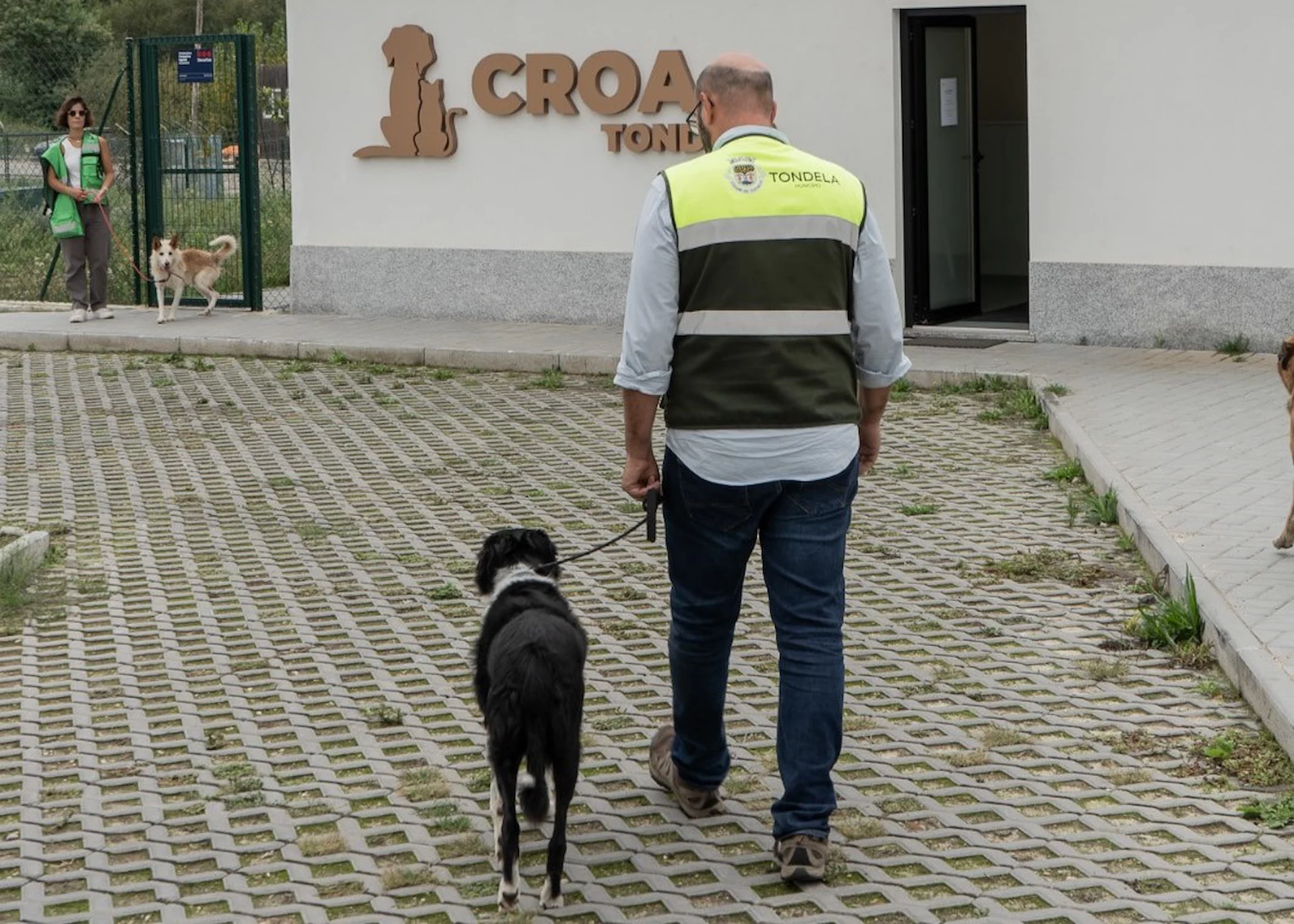 Tondela Animais
