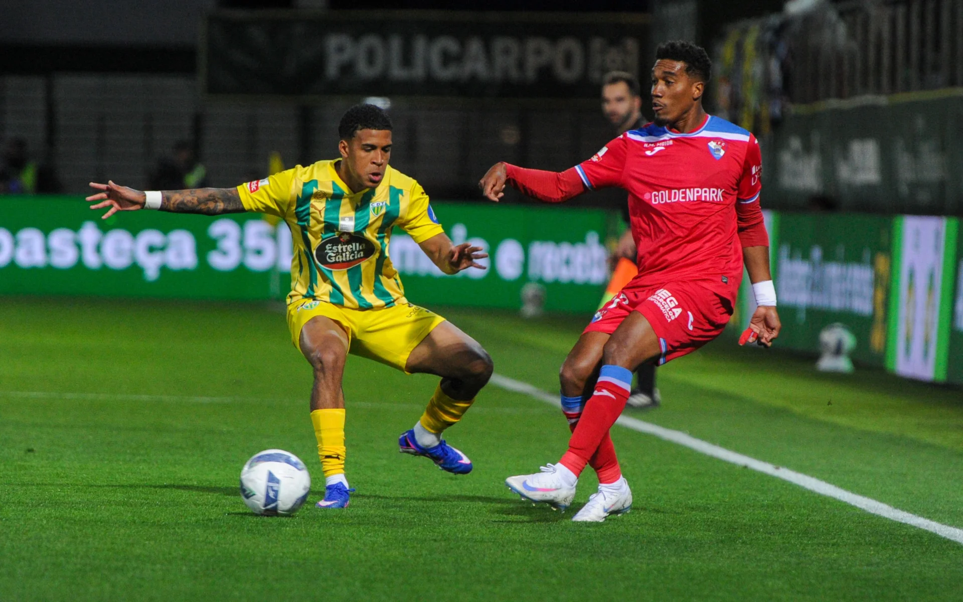 Tondela Gil Foto 8