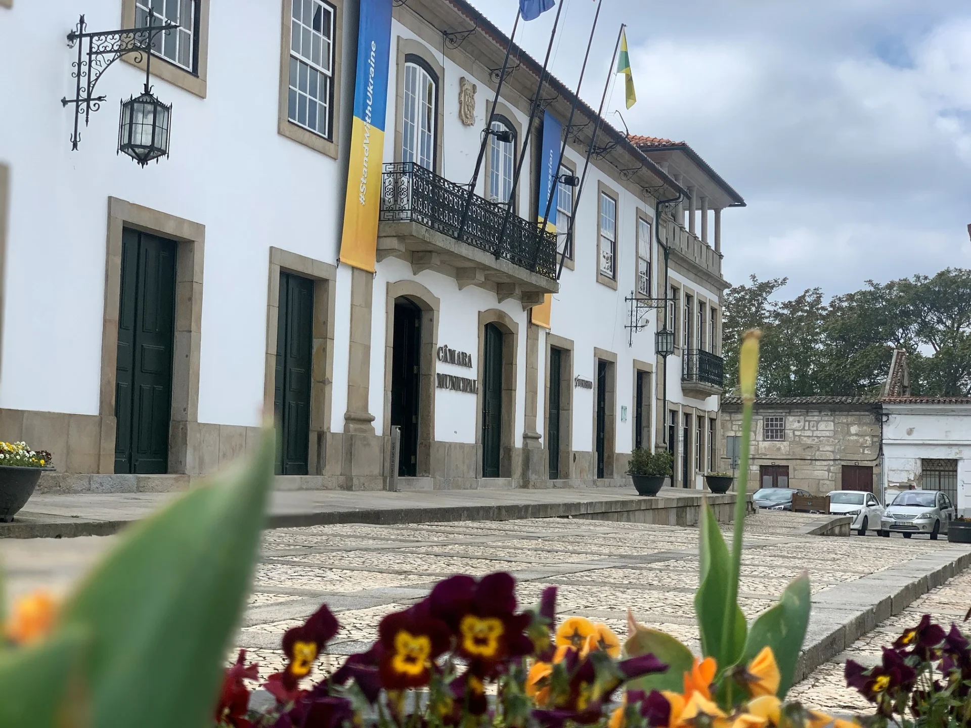 C&acirc;mara Municipal De Mangualde 3