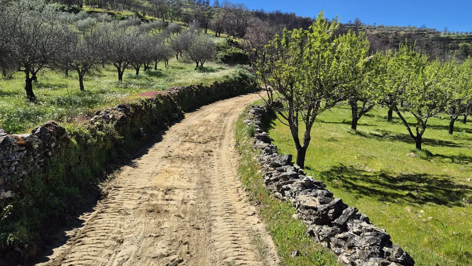 Caminhos Florestais Vila Nova Foz Coa