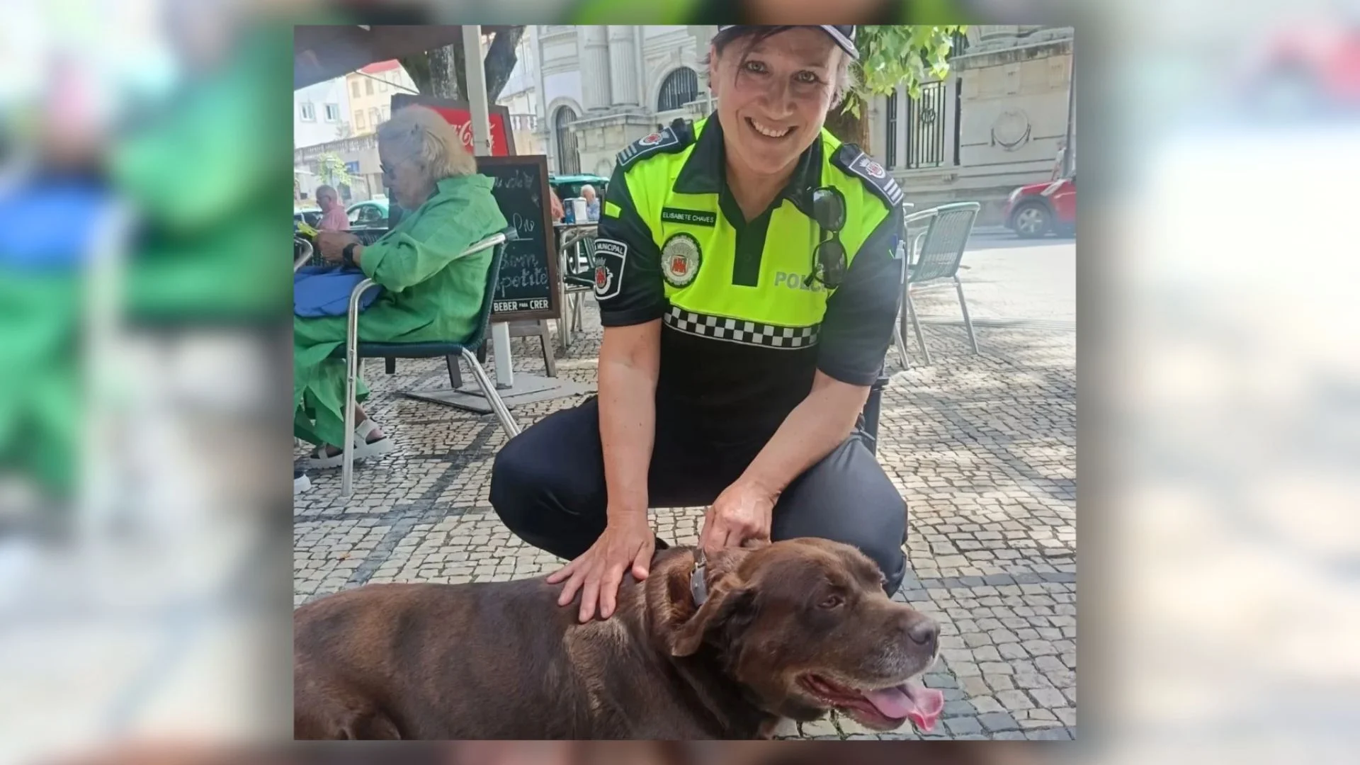 Cao Policia Viseu