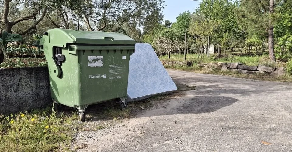Coutos De Viseu Monos