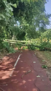 Ecopista Do Dão Cortada